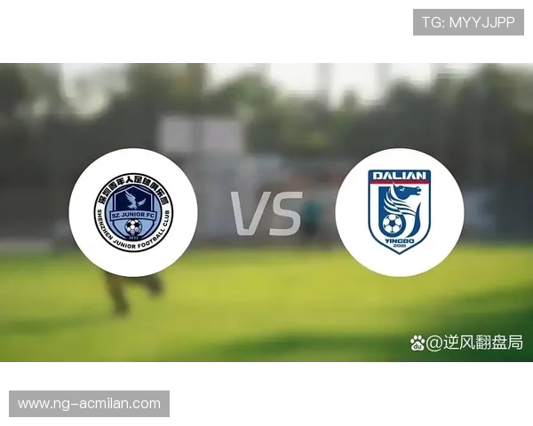 大连英博冲击保级目标明确，阵容强化为求保住中超席位